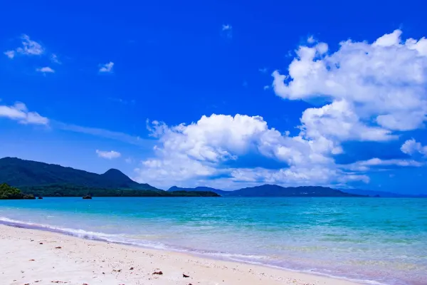 Lost In Okinawa: Eight Days of Beer, Blue Zones & Brilliant Chaos - Japan wine tour