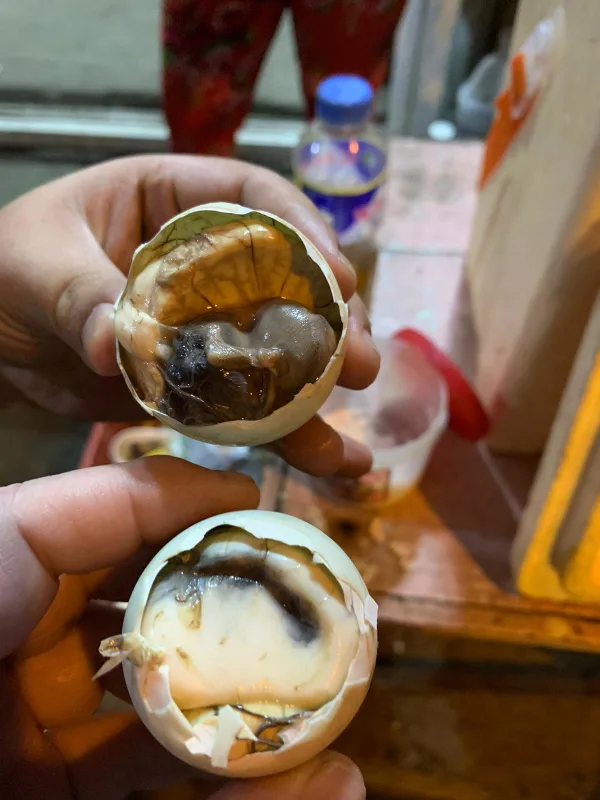 Vietnam: The Beautifully Bonkers Beer & Bizarre Bites Tour Vietnam - wine tour experience photo 1
