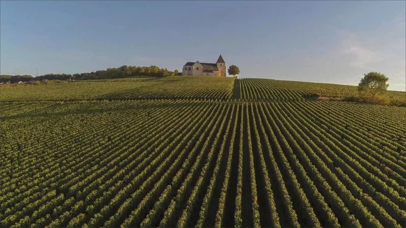 Champagne Mystery Wine Tour: Mission Imbubbable - Champagne wine tour