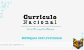 Enfoques Transversales MINEDU 2026
