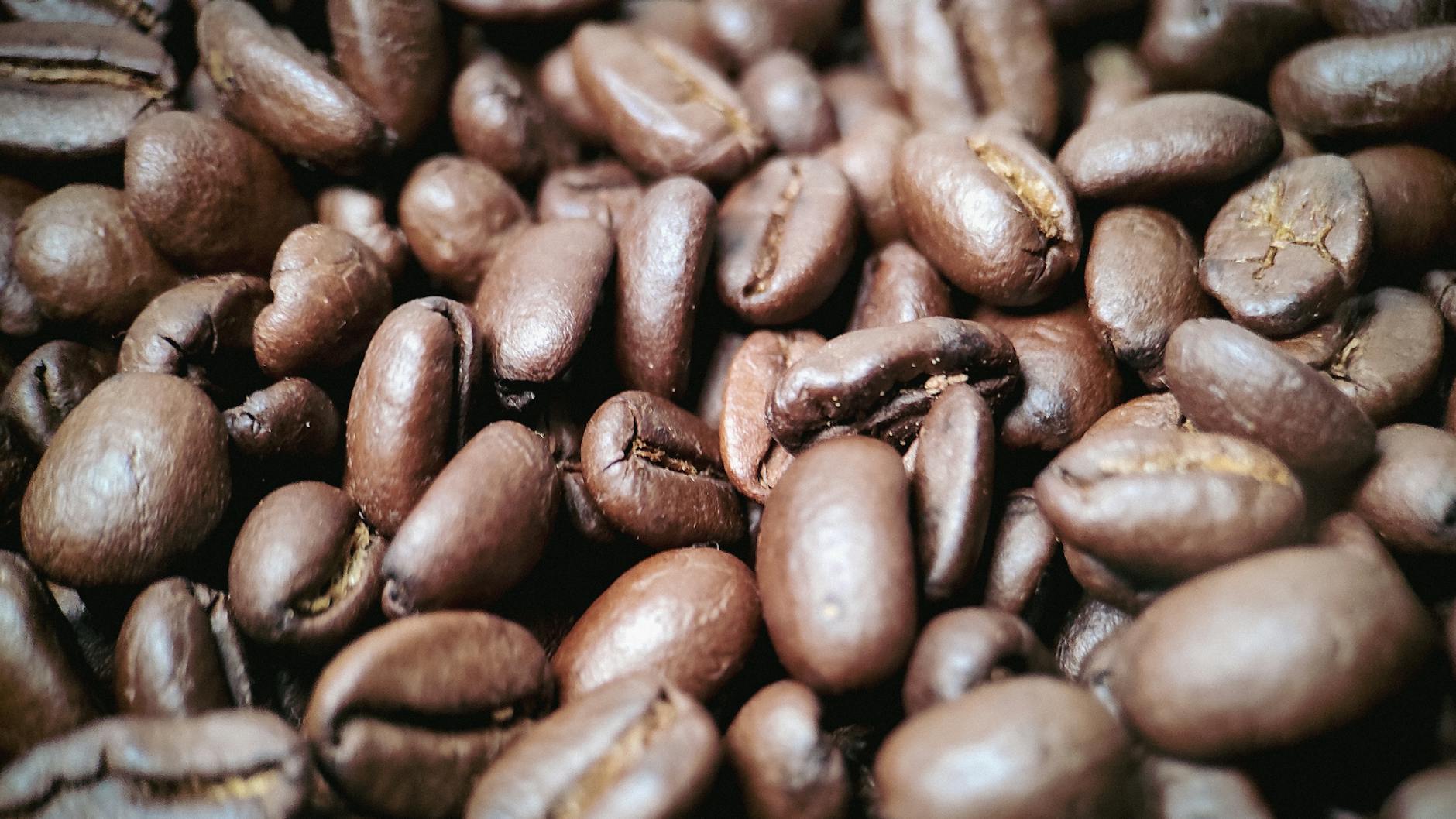 Specialty Roasts