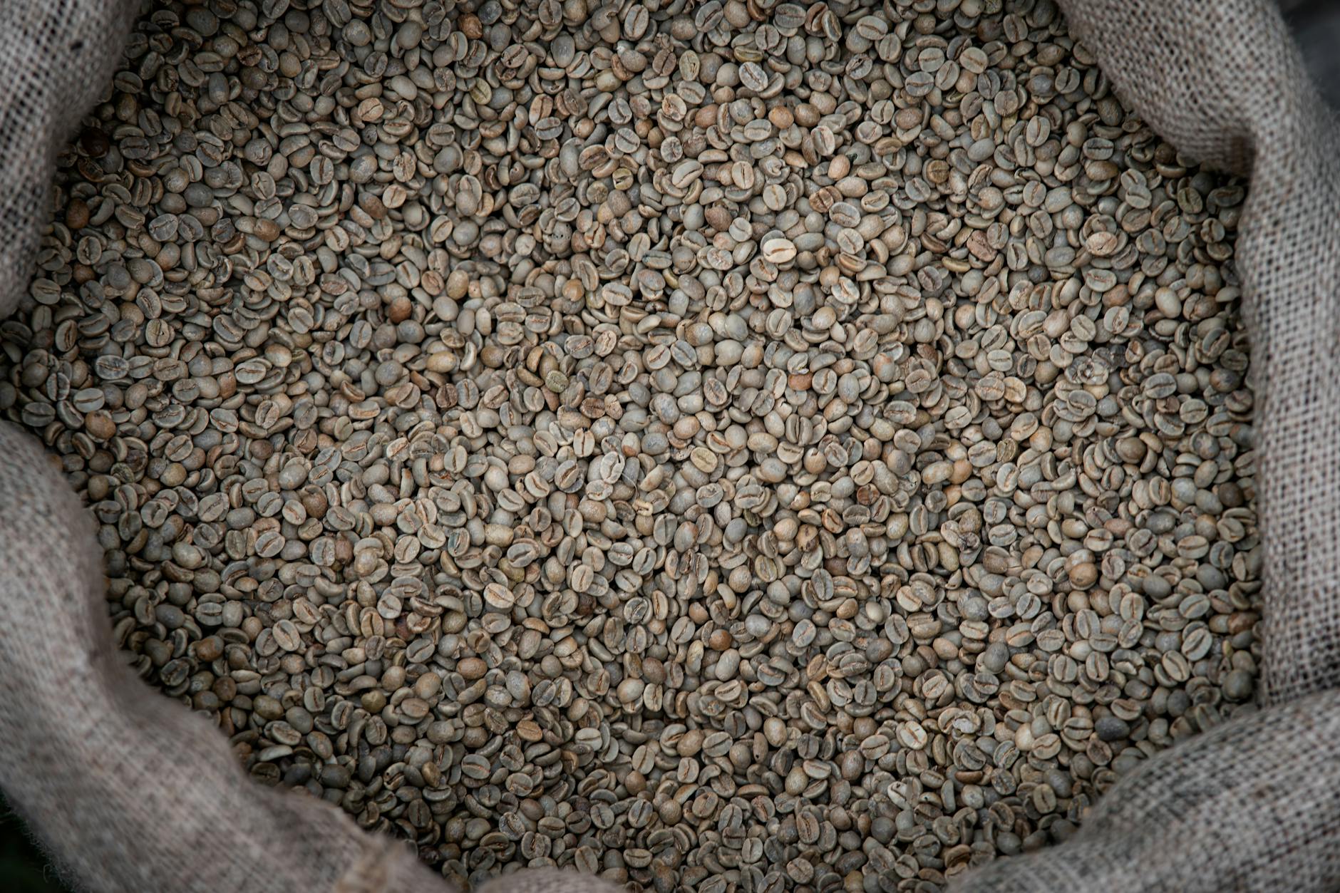 Fair Trade Sourcing