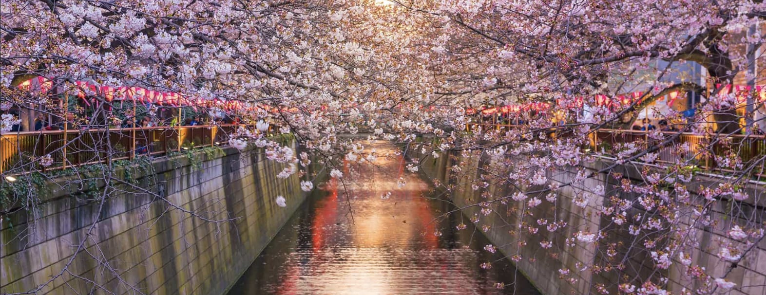 Nakameguro Canal