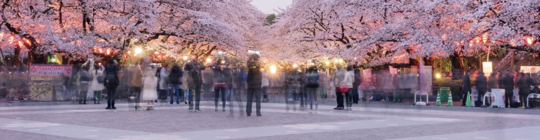 Ueno Park & Museums