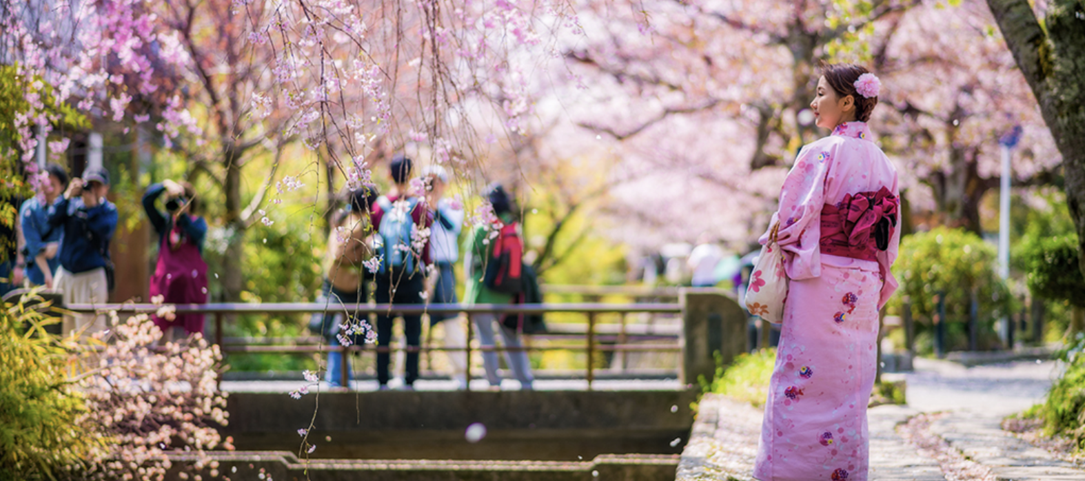 Philosopher's Path Kyoto
