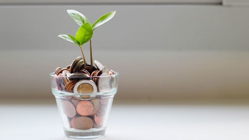 How to Become a Financial Advisor