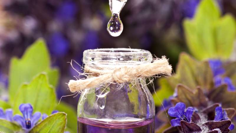 Essential Oils: A Beginner’s Guide to Aromatherapy