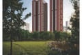 Tremont Adleap - thumbnail 9