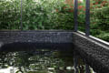 Serenity Trion - thumbnail 8