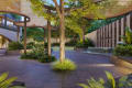 Sandalwood 26 - thumbnail 6
