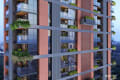 OXYVIEW - thumbnail 4