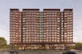 Vedant Zade - thumbnail 12