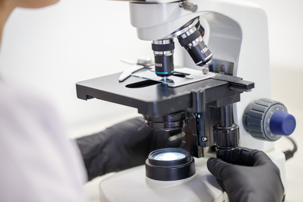 Microscopio en uso para análisis en ByB Laboratorio, con servicio en Los Reartes
