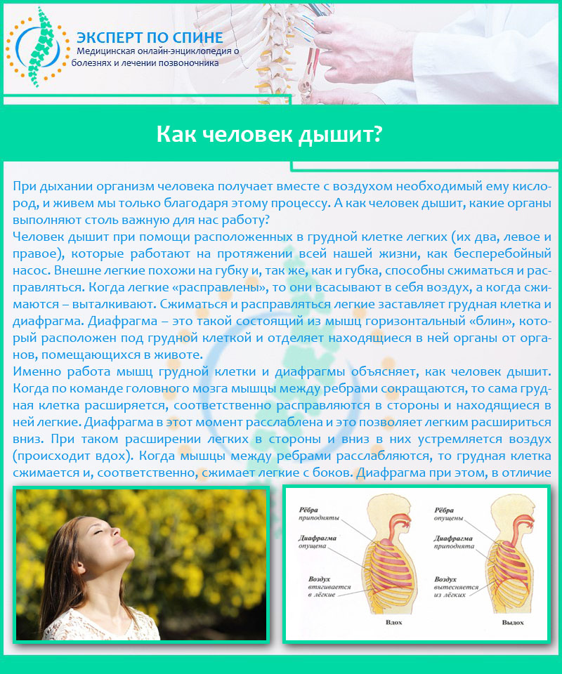 Болит левый бок с боку. Болит диафрагма при вдохе. Боли в области сердца. Колет под ребрами при вдохе. При вдохе болит грудная клетка справа.