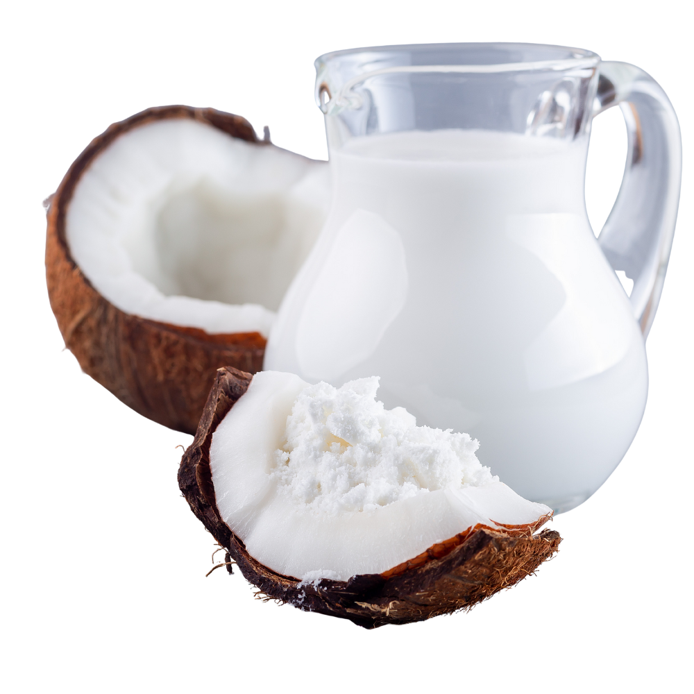 Spray Dried Coconut Milk Powder Bulk Supply | OEM | Instant Soluble ...