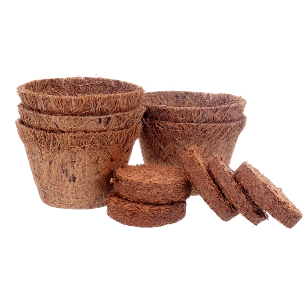 Biodegradable Coir Planters – Eco-Friendly Coconut Fiber Grow Pots ...