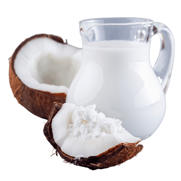 Spray Dried Coconut Milk Powder Bulk Supply | OEM | Instant Soluble ...