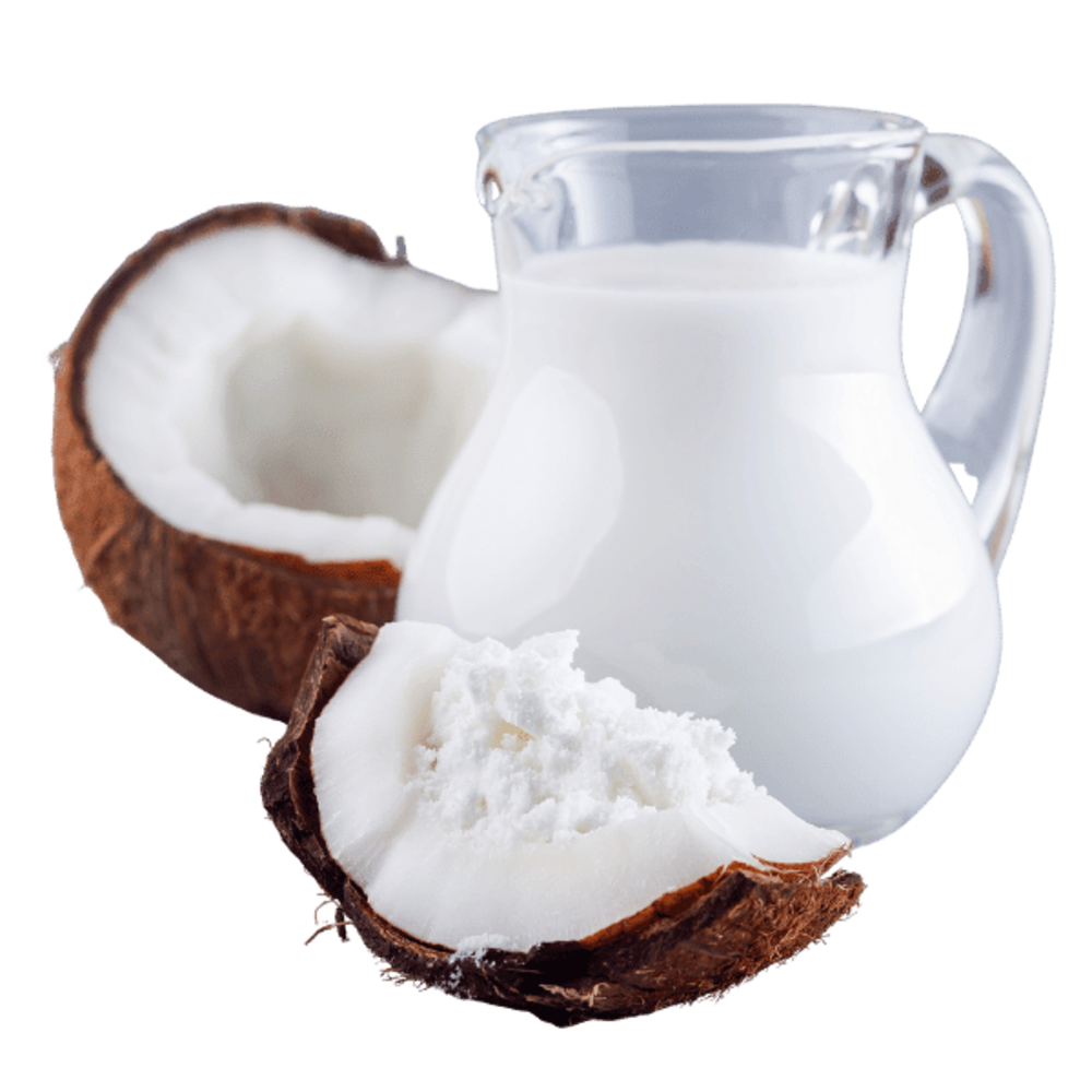 Spray Dried Coconut Milk Powder Bulk Supply | OEM | Instant Soluble ...