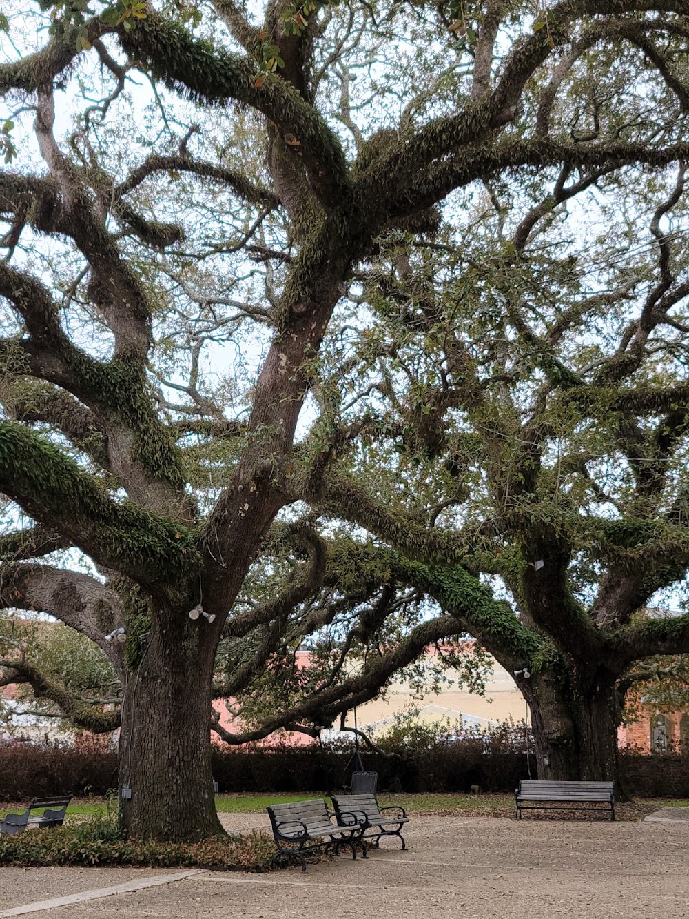 Magdalen Square