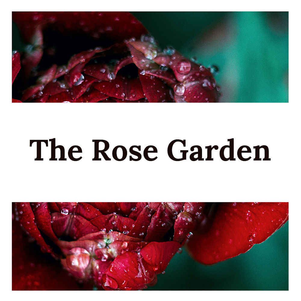 The Rose Garden store