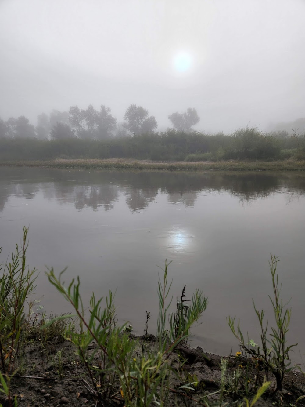 Alamosa Riparian Park