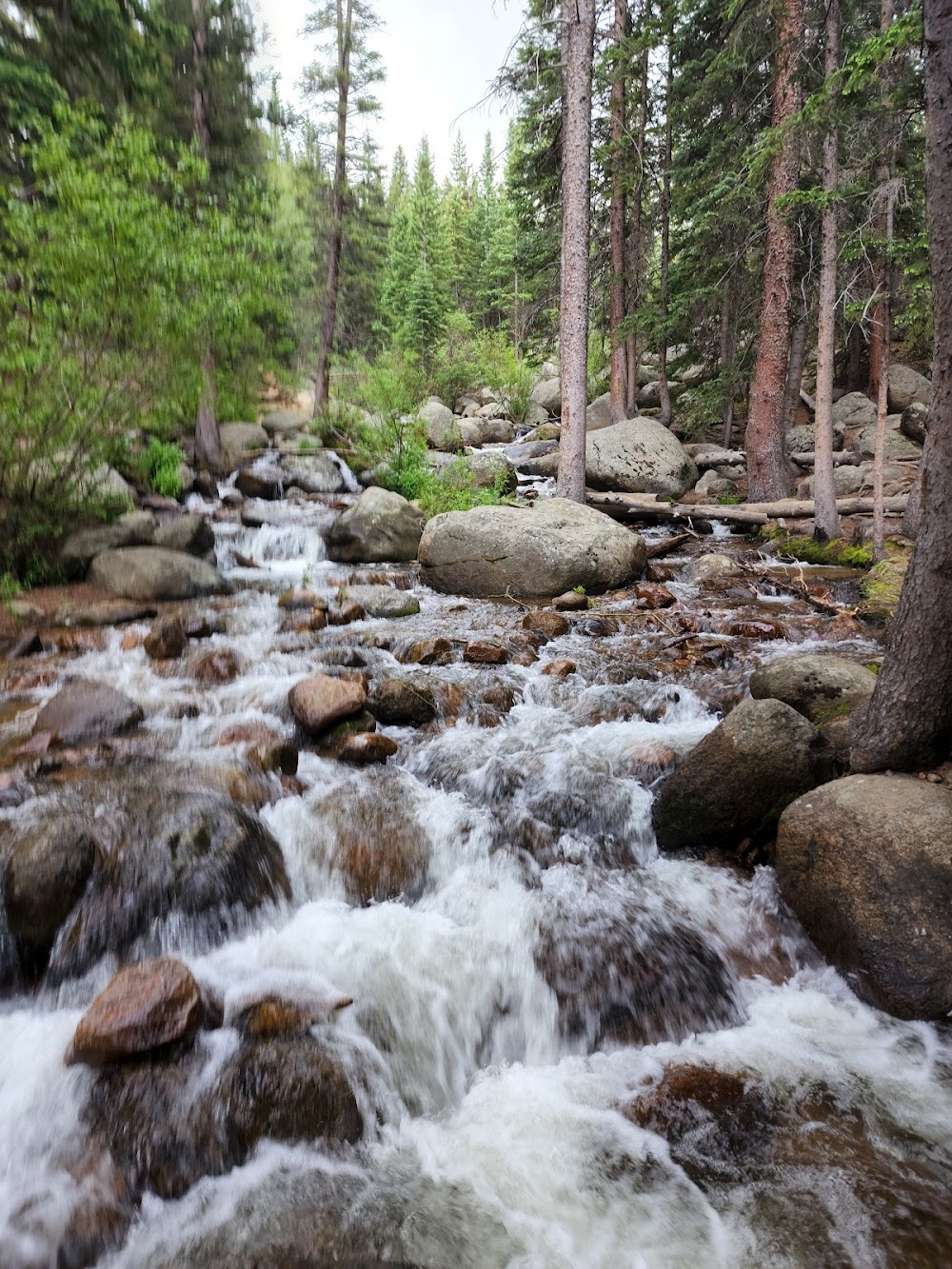 Chicago Creek Waterfall