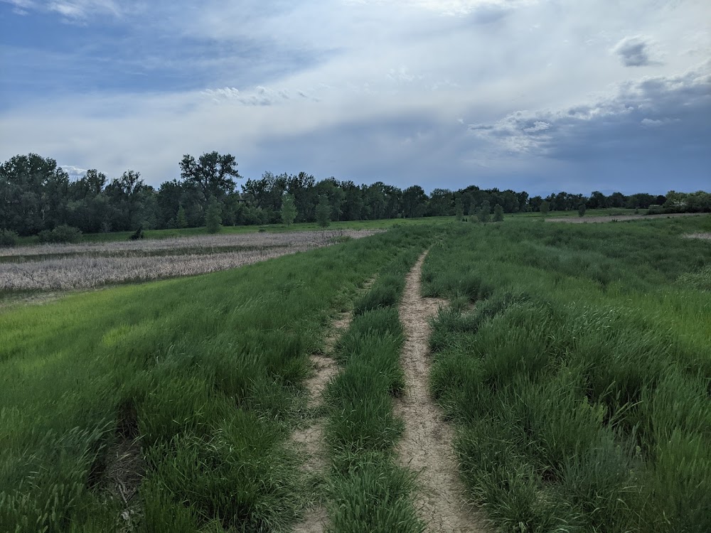 Marjorie Perry Nature Preserve