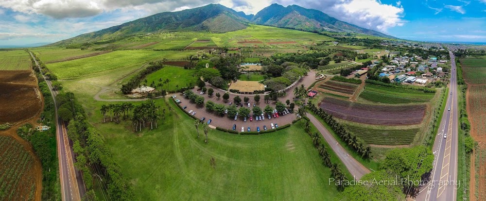 Maui Tropical Plantation