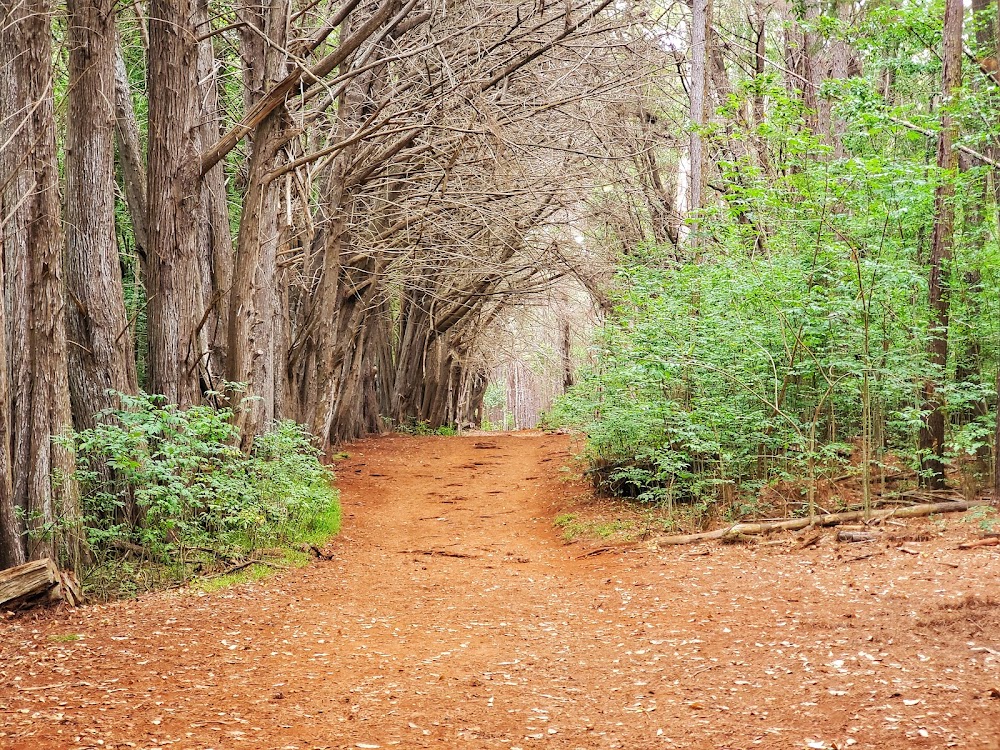 Waihou Spring Trail