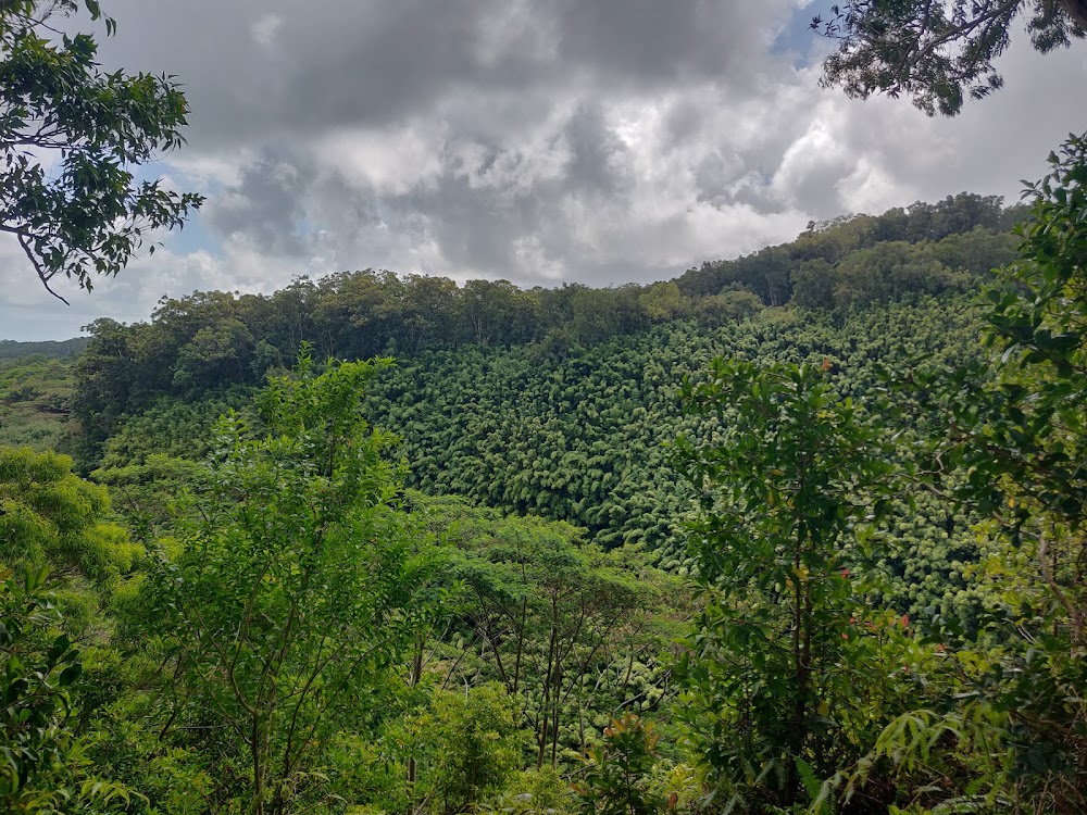 Waikamoi Nature Trailhead and Parking Area