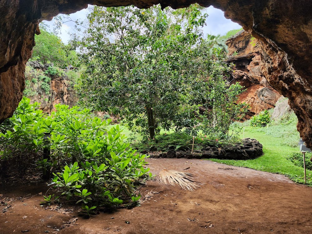 Makauwahi Cave Reserve