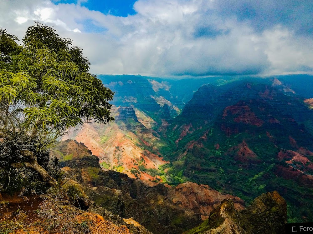 Waimea Canyon State Park