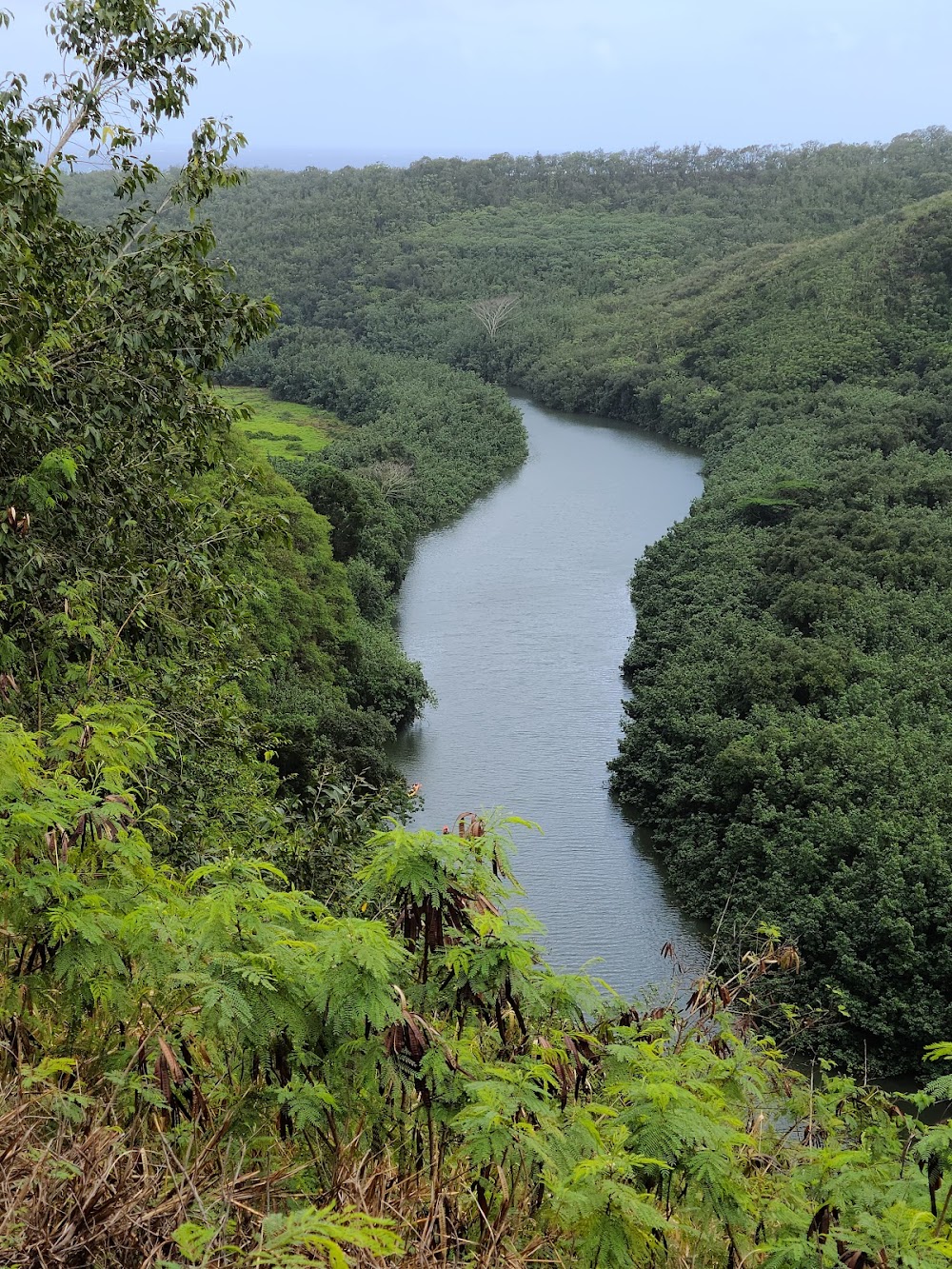 Wailua River State Park