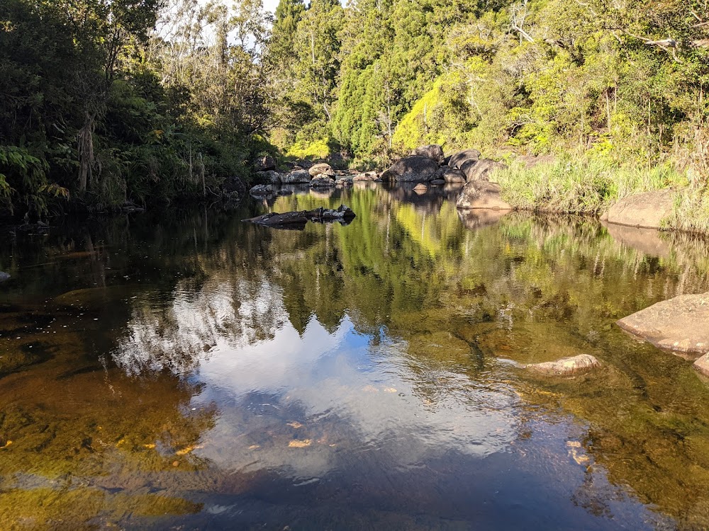 Sugi Grove Campground