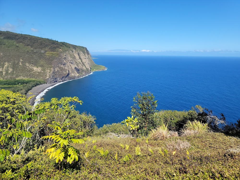 Waipiʻo Valley Lookout