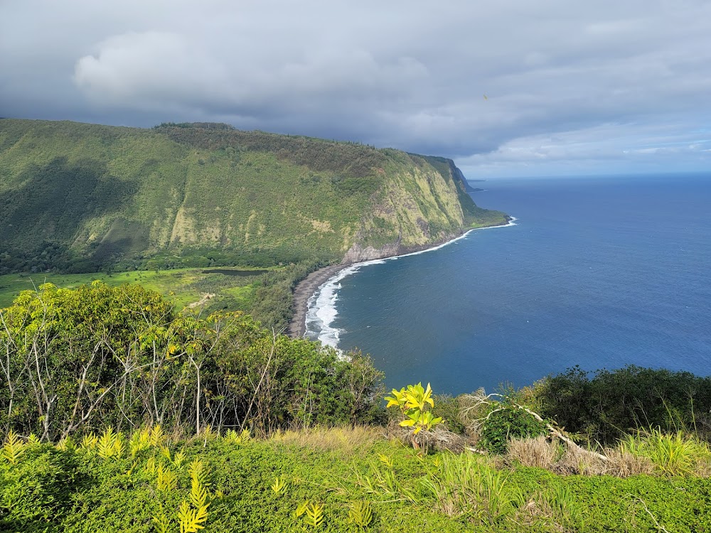 Kohala Forest Reserve