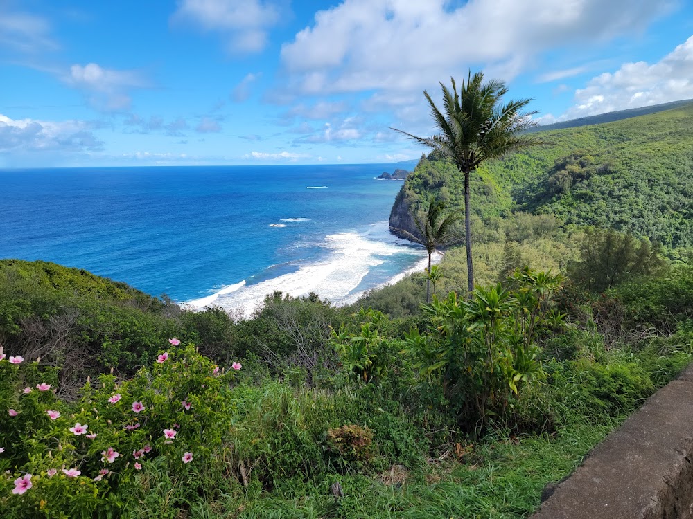 Pololū Valley Lookout