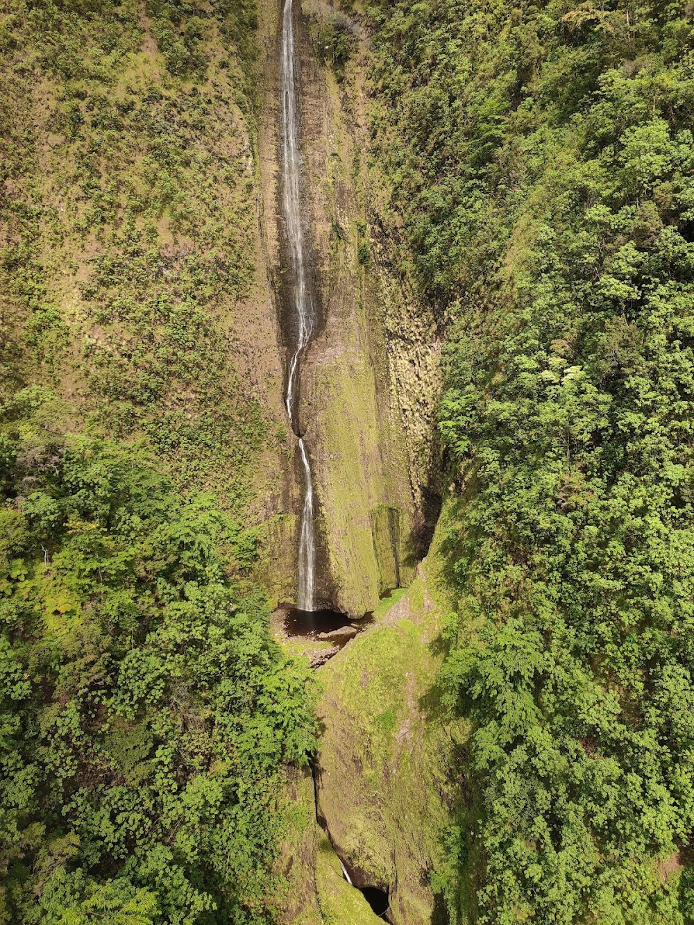 Pu'u O Umi Natural Area Reserve