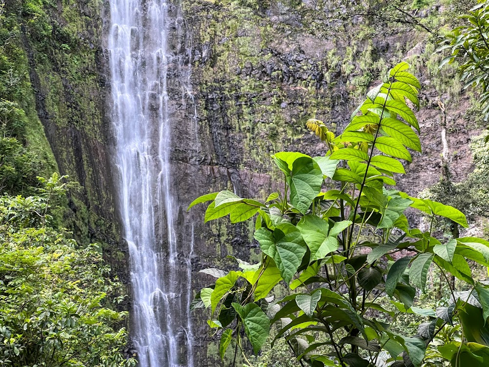 Waimoku Falls