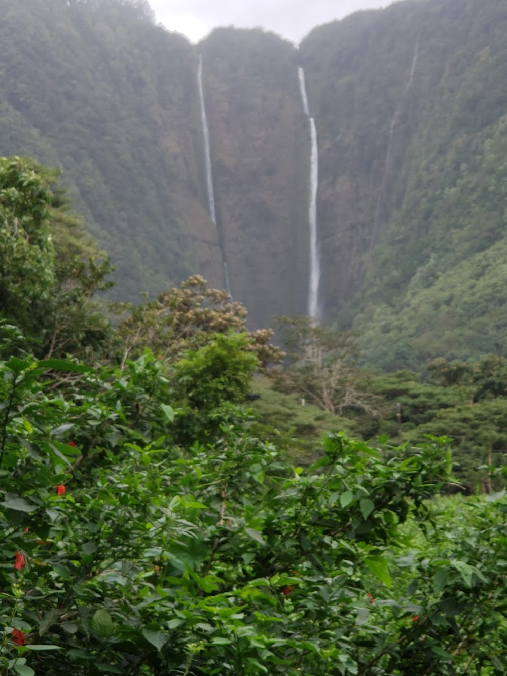 Waipio Valley Shuttle