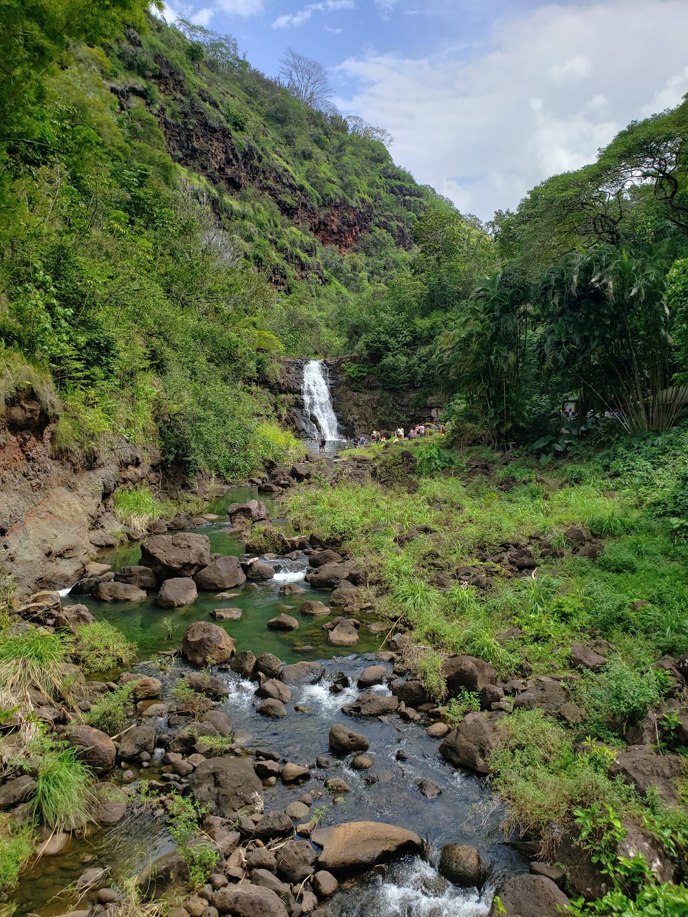 Waimea Botanical Garden