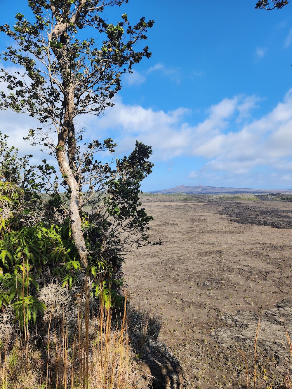 Nāpau campground