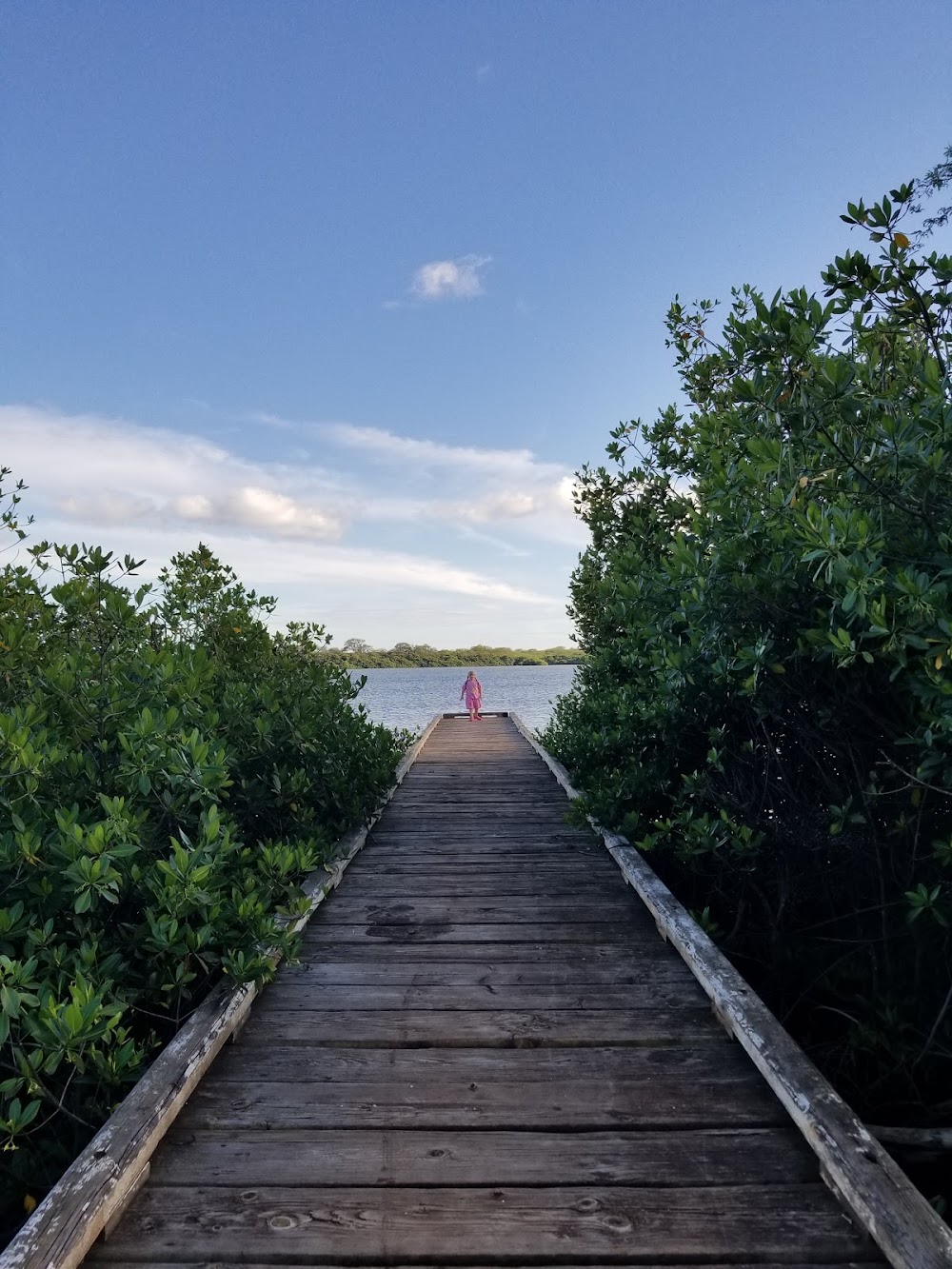 Kapapapuhi Point Park