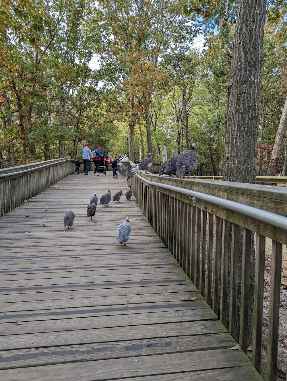 Cape May County Park & Zoo