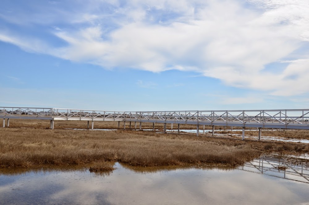 The Wetlands Institute