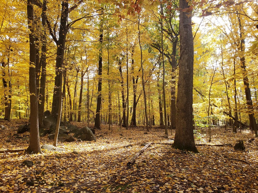 Tenafly Nature Center