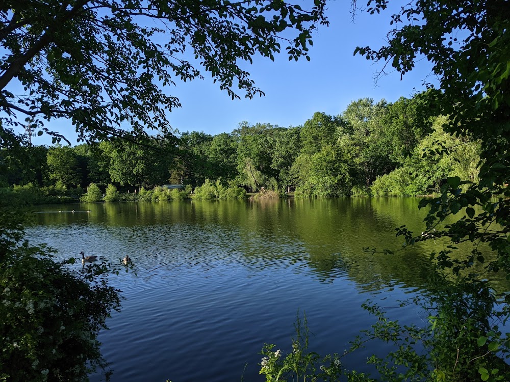 Glen Rock Duck Pond