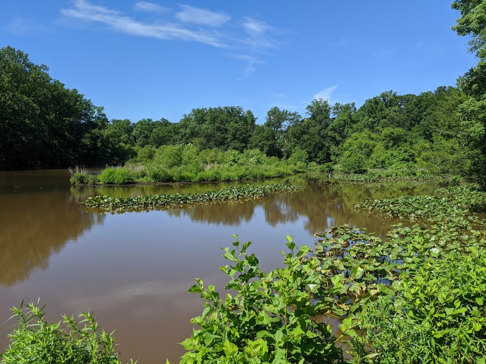 Wallworth Pond