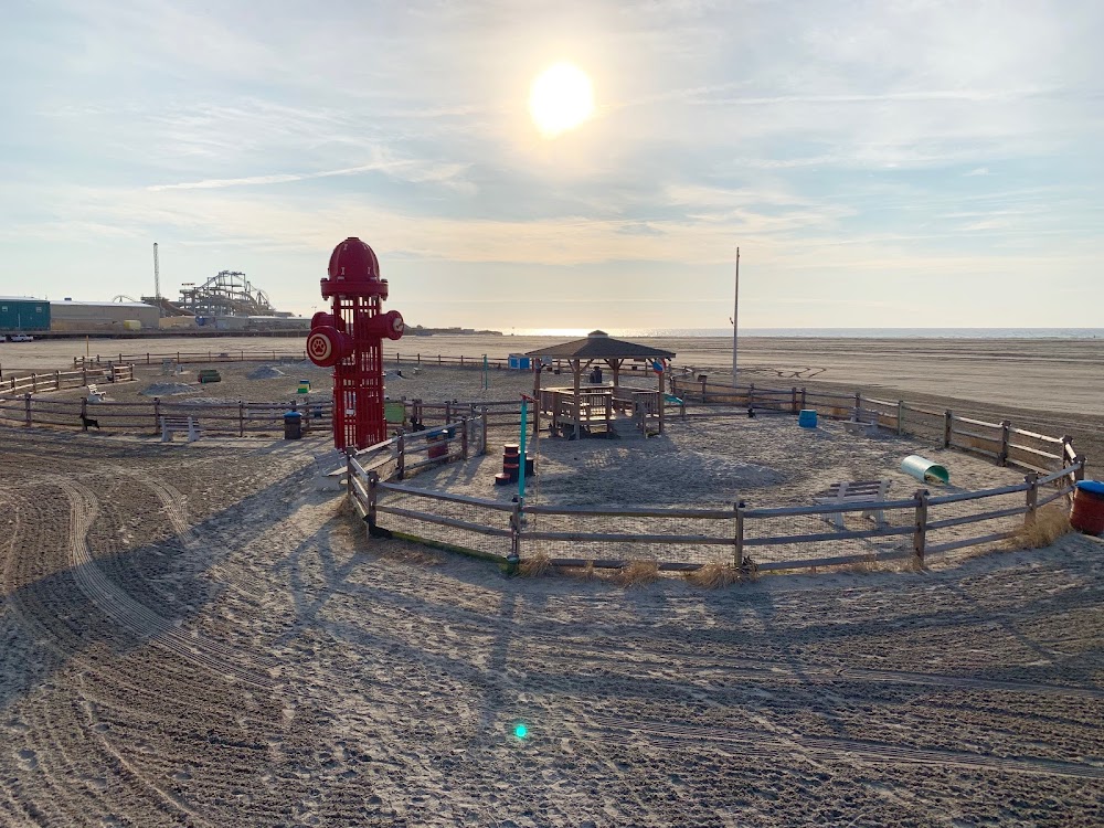 Wildwood Dog Park & Beach