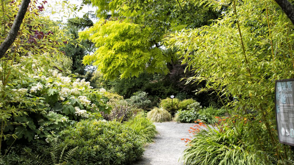 Bellevue Botanical Garden